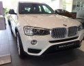 BMW X3 Mới   XDive 20i Twin Power Turbo 2018 - Xe Mới BMW X3 XDive 20i Twin Power Turbo 2018