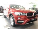 BMW X6 Mới   Xdive35i 2018 - Xe Mới BMW X6 Xdive35i 2018