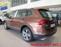 Volkswagen Tiguan Mới   Allspace 2018 - Xe Mới Volkswagen Tiguan Allspace 2018