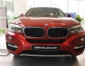 BMW X6 Mới   Xdive35i 2018 - Xe Mới BMW X6 Xdive35i 2018