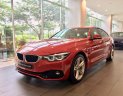 BMW 4 Series Mới   420i 2017 - Xe Mới BMW 4 Series 420i 2017