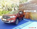 Ford Everest 2018 - Ford Everest - 2018