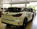 Lexus RX Mới   350 Luxury 2018 - Xe Mới Lexus RX 350 Luxury 2018