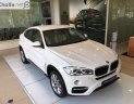 BMW X6 Mới   XDrive35i 2018 - Xe Mới BMW X6 XDrive35i 2018