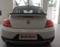 Volkswagen Beetle Mới   Dune 2018 - Xe Mới Volkswagen Beetle Dune 2018