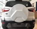 Ford EcoSport   2018 - Bán ô tô Ford EcoSport sản xuất năm 2018, màu trắng