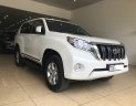 Toyota Prado TXL 2014 - Bán Toyota Prado TXL xe sản xuất 2014, đăng ký cuối 2014, tên tư nhân biển Hà Nội, xe chạy 5 vạn km