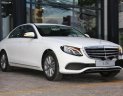 Mercedes-Benz E class   E200   2018 - Cần bán xe Mercedes E200 đời 2018, màu trắng