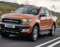 Ford Ranger wildtrak 2.0AT 2018 - Bán Ford Ranger Wildtrak 2.0 năm 2018, màu cam, nhập khẩu nguyên chiếc, giá chỉ 925 triệu