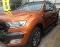 Ford Ranger  Wildtrak 3.2L 2015 - Bán Ford Ranger Wildtrak 3.2L sản xuất năm 2015