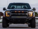 Ford Ranger wildtrak 2.0 2018 - Ford Ranger Wildtrak 2.0 sản xuất năm 2018, màu đen, nhập khẩu nguyên chiếc Thái Nguyên