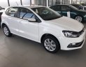 Volkswagen Polo   2017 - Bán Volkswagen Polo hatchback sản xuất năm 2017, nhập khẩu nguyên chiếc, giá chỉ 695 triệu