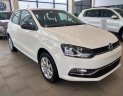 Volkswagen Polo   2017 - Bán Volkswagen Polo hatchback sản xuất năm 2017, nhập khẩu nguyên chiếc, giá chỉ 695 triệu