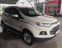 Ford EcoSport Cũ   AT Titanium 2017 - Xe Cũ Ford EcoSport AT Titanium 2017