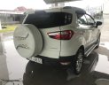 Ford EcoSport Cũ   Titanium 2017 - Xe Cũ Ford EcoSport Titanium 2017