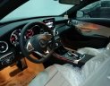 Mercedes-Benz C class C300 2017 - Bán xe Mercedes-Benz C300 siêu lướt 40km (Mercedes Trường Chinh)