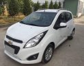 Chevrolet Spark  LT 2015 - Cần bán lại xe Chevrolet Spark sản xuất năm 2015, màu trắng xe gia đình