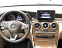 Mercedes-Benz GLC-Class GLC 250 2017 - Bán Mercedes GLC 250 màu xanh, nội thất kem 2017 10.000km