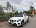 Mercedes-Benz GLC-Class 300 2017 - Bán Mercedes 300 năm sản xuất 2017, màu trắng, nhập khẩu