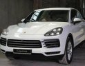 Porsche Panamera 2016 - Bán Porsche Panamera năm sản xuất 2016, màu trắng, nhập khẩu nguyên chiếc