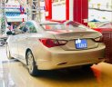 Hyundai Sonata Y20 2010 - Bán Hyundai Sonata Y20 sản xuất 2010, nhập khẩu nguyên chiếc xe gia đình