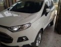 Ford EcoSport   Titanium 2015 - Bán xe Ford EcoSport Titanium năm 2015, màu trắng 