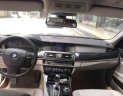 BMW 5 Series 523i 2010 - Cần bán lại xe BMW 5 Series 523i 2010, màu nâu, nhập khẩu nguyên chiếc chính chủ