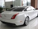 Jaguar XJL 2017 - Bán Jaguar XJL màu trắng - Thế giới thượng lưu trong một siêu phẩm - Tặng ngay trước bạ