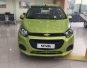 Chevrolet Spark Duo 2018 - Bán Chevrolet Spark Duo 2 chỗ dạng bán tải nhỏ, giá sốc sập sàn, trả trước chỉ từ 60 triệu là lấy xe