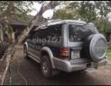 Mitsubishi Pajero 1991 - Bán Mitsubishi Pajero đời 1991, màu xanh dưa