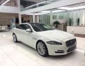 Jaguar XJL 2017 - Bán Jaguar XJL màu trắng - Thế giới thượng lưu trong một siêu phẩm - Tặng ngay trước bạ