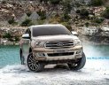 Ford Everest Titanium 4x2 2018 - Bán xe Ford Everest Titanium 4x2 đời 2018, xe nhập khẩu Thái Lan, đủ màu hỗ trợ trả gop, lh: 0941921742