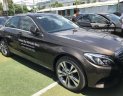 Mercedes-Benz C class C250 Exclusive 2018 - Đại lý cần bán Mercedes C250 Exclusive, đăng ký 2018 như mới