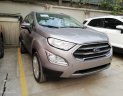 Ford EcoSport 1.5 titanium 2018 - Yên Bái ford Bán Ford EcoSport 1.5 Titanium đời 2018, màu ghi anh thép, tặng bảo hiểm thân vỏ. L/H 0974286009