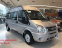 Ford Transit   SVP 2018 - Bán xe Ford Transit bản tiêu chuẩn SVP đời 2018, màu xám, giá cạnh tranh, hỗ trợ trả góp 90% tại Ninh Bình