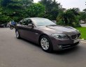 BMW 5 Series 520i  2013 - BMW 520i 2013 xe đẹp không một lỗi nhỏ