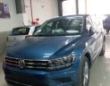 Volkswagen Tiguan E 2018 - Xe Volkswagen Tiguan 2018 – Mẫu xe 5+2 đam mê không giới hạn – Hotline: 0909 717 983