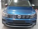 Volkswagen Tiguan E 2018 - Xe Volkswagen Tiguan 2018 – Mẫu xe 5+2 đam mê không giới hạn – Hotline: 0909 717 983