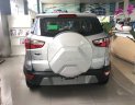 Ford EcoSport Mới   Titanium 1.0L Ecoboost 2018 - Xe Mới Ford EcoSport Titanium 1.0L Ecoboost 2018