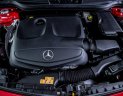 Mercedes-Benz A Cũ Mercedes-Benz  250 2016 - Xe Cũ Mercedes-Benz A 250 2016