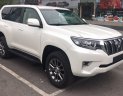 Toyota Prado 2.7L VX 2018 - Bán Toyota Land Cruiser Prado 2.7L VX (2018) nhập khẩu, giao xe sớm, hỗ trợ vay tới 85% giá trị xe, Hotline 0987404316