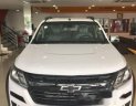 Chevrolet Colorado  2.8AT 2018 - Bán xe Chevrolet Colorado 2.8AT năm 2018, màu trắng