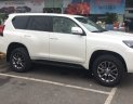 Toyota Prado 2.7L VX 2018 - Bán Toyota Land Cruiser Prado 2.7L VX (2018) nhập khẩu, giao xe sớm, hỗ trợ vay tới 85% giá trị xe, Hotline 0987404316