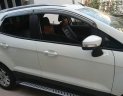 Ford EcoSport Titanium 2017 - Bán ô tô Ford EcoSport Titanium năm sản xuất 2017, màu trắng