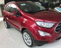 Ford EcoSport 2018 - Bán xe Ford EcoSport sản xuất 2018, đủ màu, giá cực tốt, giao ngay. Hỗ trợ trả góp 90% tại Hưng Yên