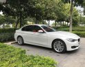 BMW 3 Series 320i 2014 - Bán ô tô BMW 3 Series 320i đời 2014, màu trắng, nhập khẩu