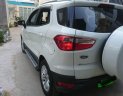 Ford EcoSport Titanium 2017 - Bán ô tô Ford EcoSport Titanium năm sản xuất 2017, màu trắng