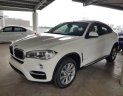 BMW X6   2018 - Bán xe BMW X6 năm 2018, màu trắng, nhập khẩu