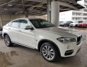 BMW X6   2018 - Bán xe BMW X6 năm 2018, màu trắng, nhập khẩu