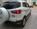 Ford EcoSport Titanium 2017 - Bán ô tô Ford EcoSport Titanium năm sản xuất 2017, màu trắng